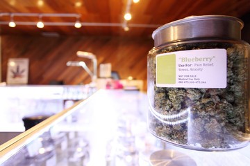 Where to Find Marijuana Doctors in Oakland Park