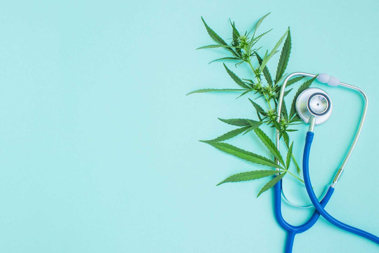 Medical marijuana and stethoscope. Green leaves of cannabis. Emp