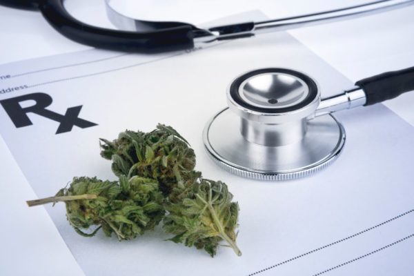 Everything You Wanted To Know About a Medical Cannabis Clinic and Were Afraid To Ask