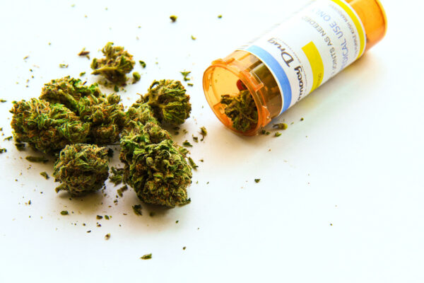 Why You Need a Medical Marijuana Doctor in Fort Lauderdale